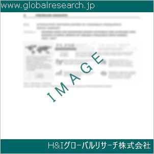 グローバルリサーチ調査資料のイメージ